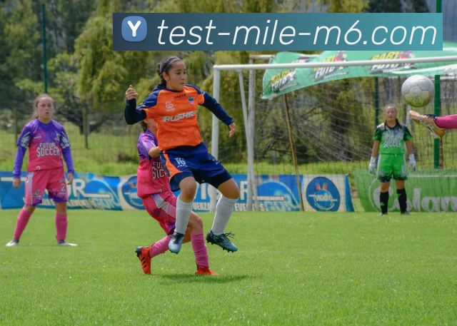 米乐中国品牌故事